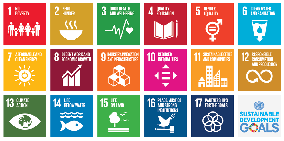 Localization of the SDGs and local democracy