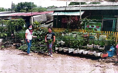 Island Garden City of Samal: Relocation and Resettlement of Communities Living at the Shoreline