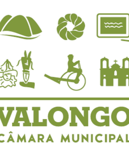 avatar Valongo City Hall