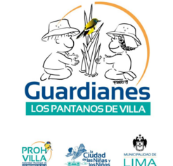 Consulta ''Guardianes de los Pantanos de Villa'' (Lima) 